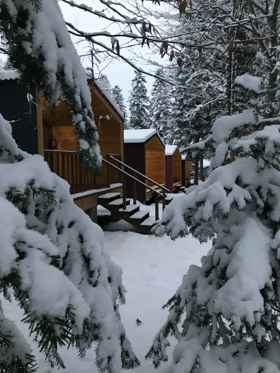 Архыз: База отдыха Forest house resort
