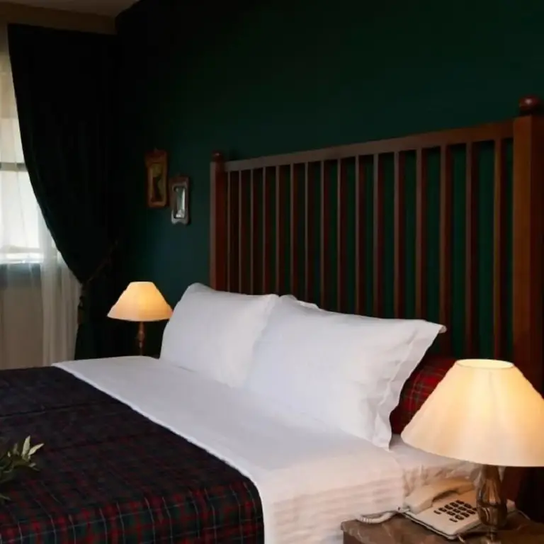 Айваджик: Calidus Hotel
