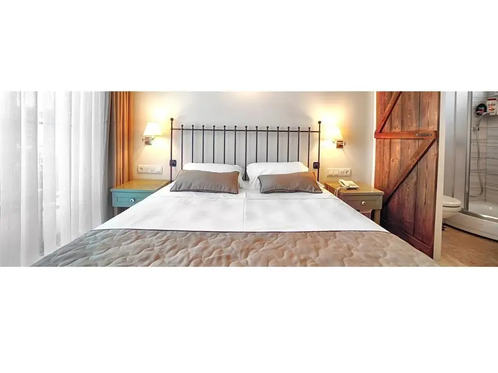 Айваджик: Assos Oleas Hotel