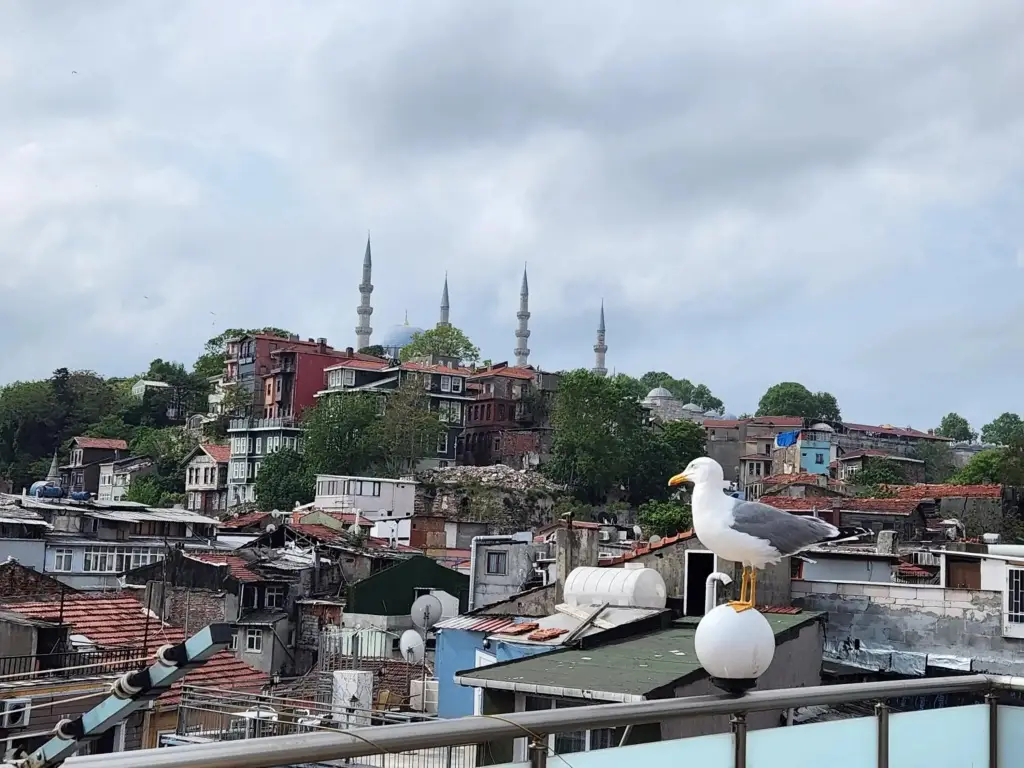 Стамбул: Sea Star Apart İstanbul