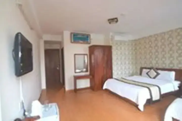 Дананг: Lipark Camry 2 Hotel