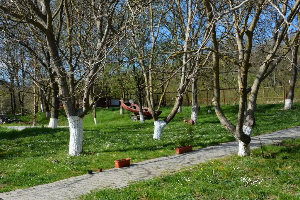 Орлиное: Ozyornoe Mini-Hotel