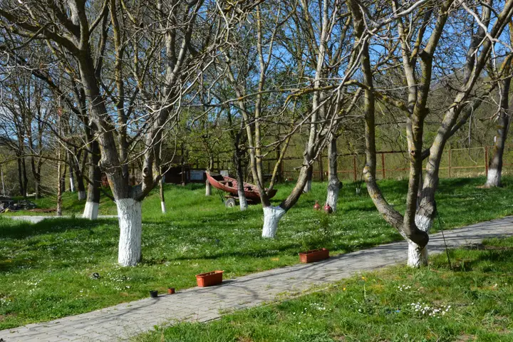 Орлиное: Ozyornoe Mini-Hotel