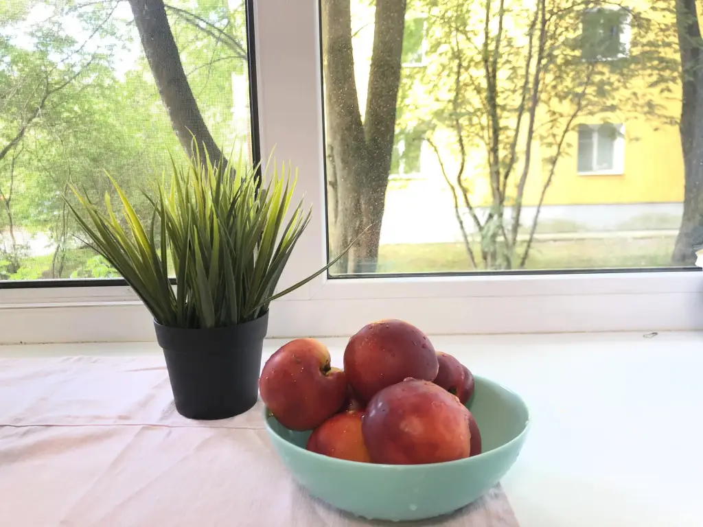 Сосновый Бор: Studia Belie Peski V Sosnovom Boru Flat
