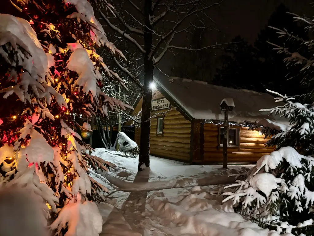 Зеленоград: Izba Nikolaicha Chalet