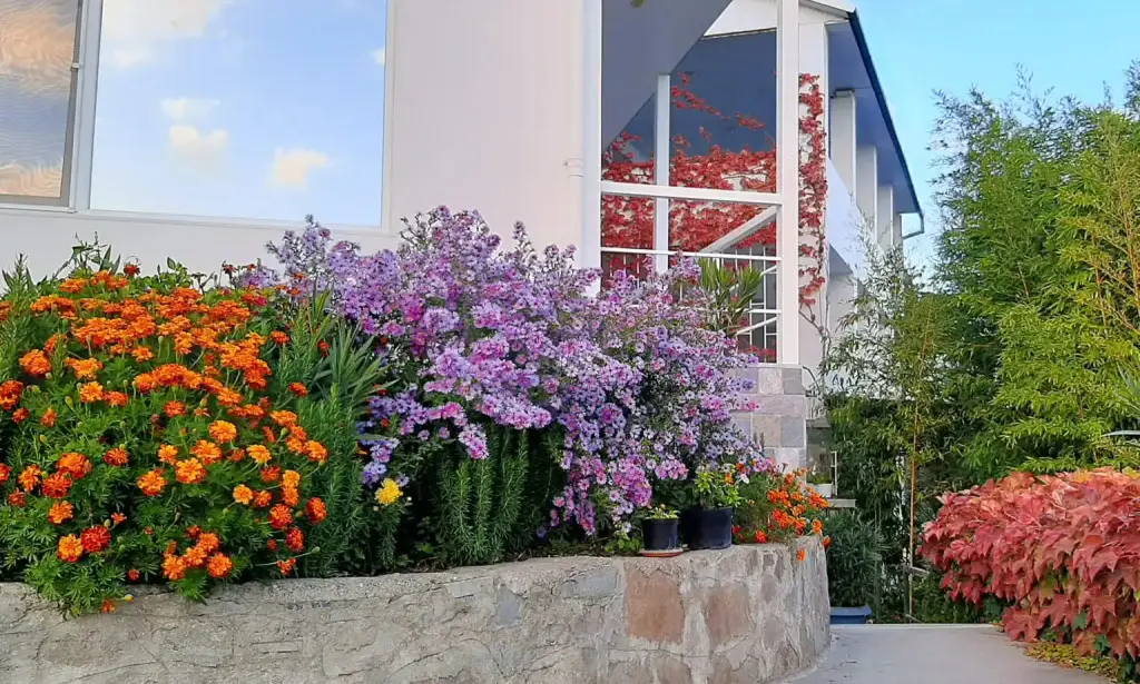 Солнечногорское: Гостевой дом Sun Hill