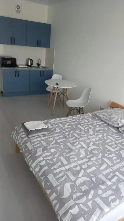 Владивосток: Апартаменты Apartsharing Стрелковая 18 кв 421