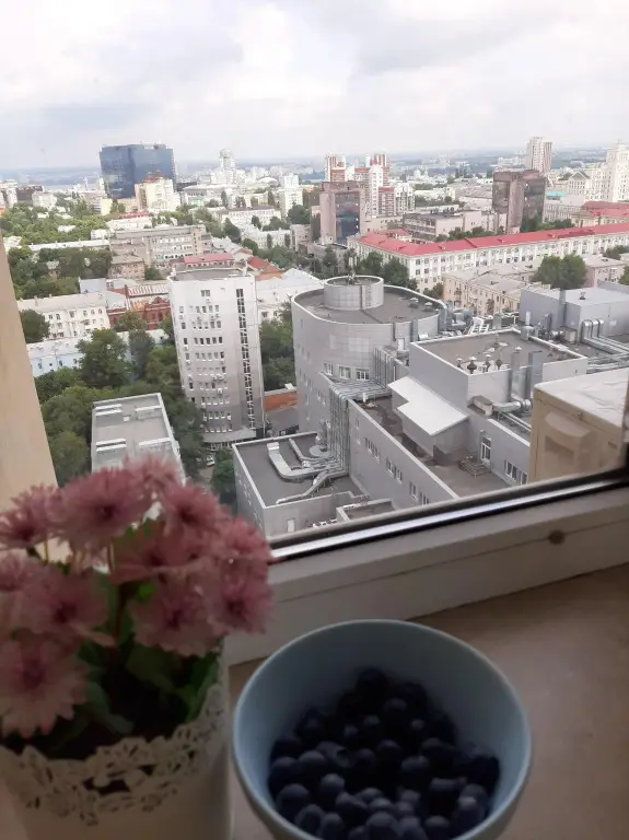 Апартаменты Видовые в Центре Воронежа Фиолет 20/20 — фото 1