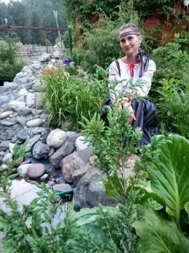 Телецкое озеро: Sokol Guest House