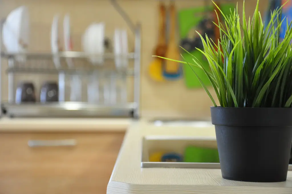 Владивосток: Апартаменты Home