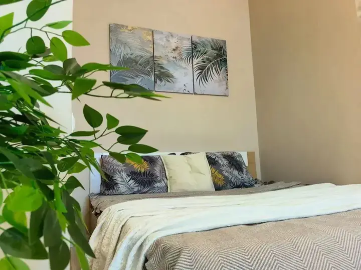 Северодвинск: Апартаменты Like Home на Южной