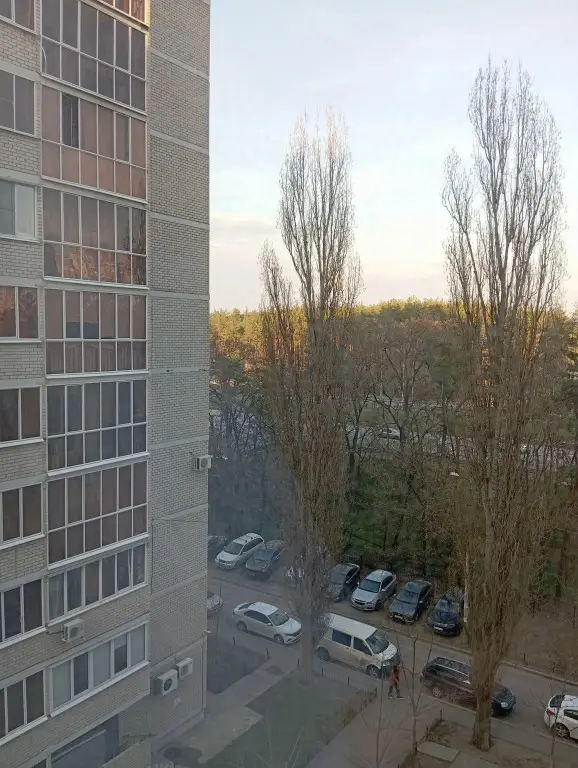 Воронеж: Квартира Уютная евродвушка
