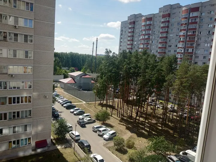 Воронеж: Квартира Уютная евродвушка