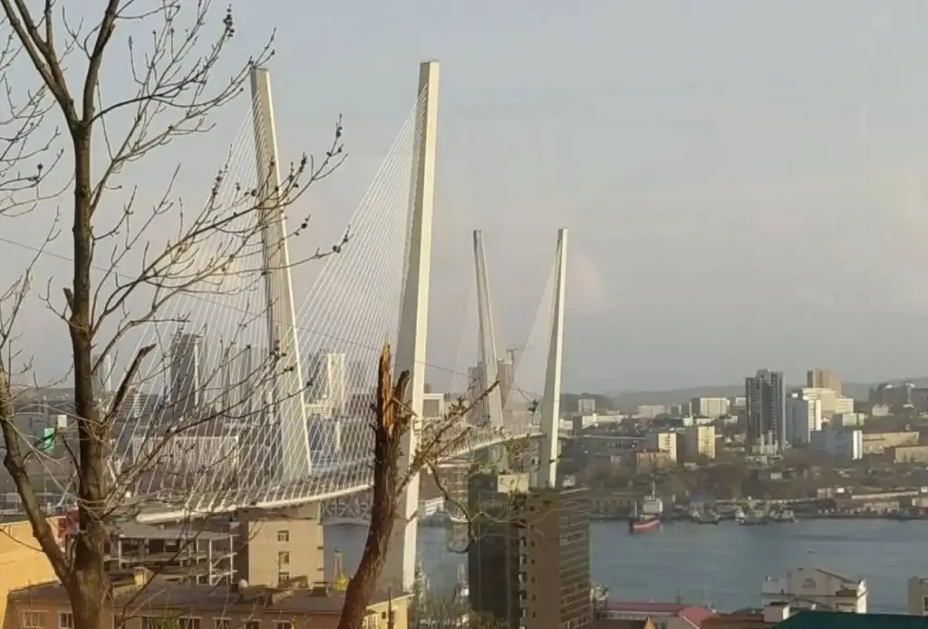 Владивосток: Квартира на Некрасовском Переулке 3