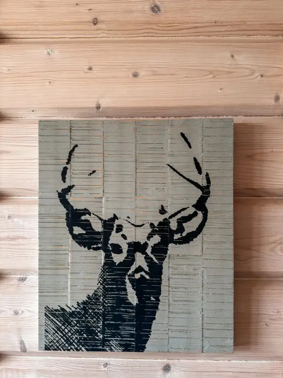 Сортавала: Гостевой Дом Villanorda