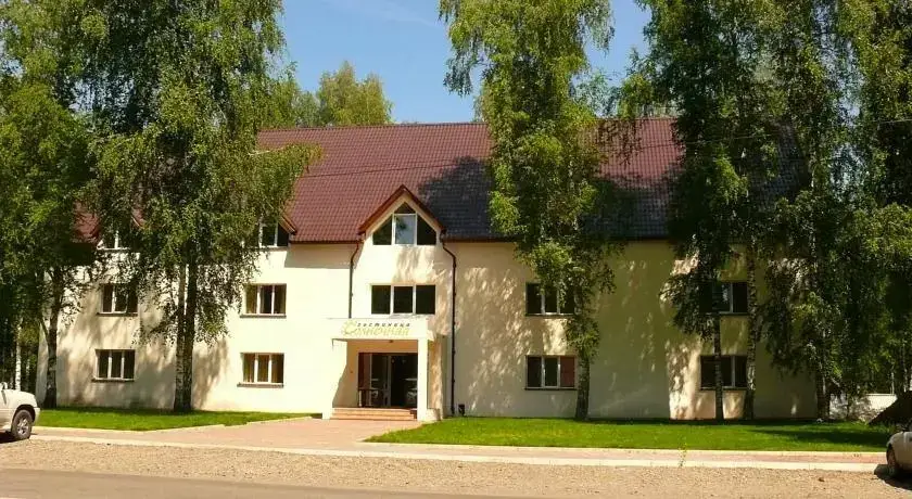 Катунь: Отель Солнечная