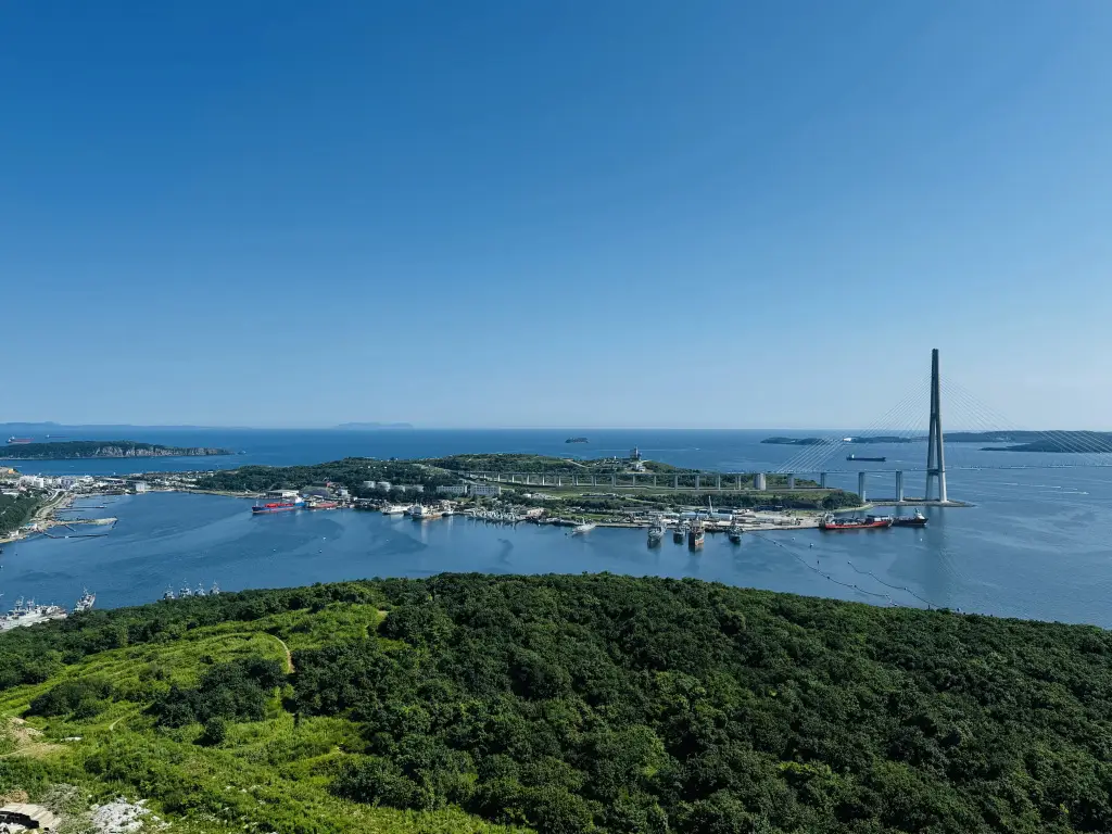 Квартира Панорамная с видом на море и мост Русский — фото 1