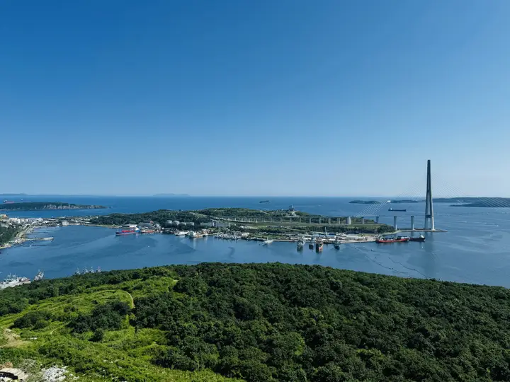 Владивосток: Квартира Панорамная с видом на море и мост Русский