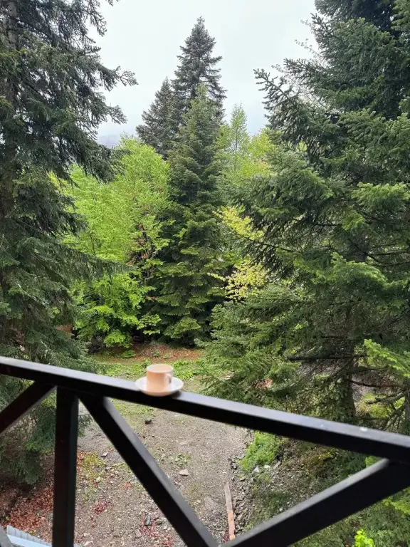Архыз: Апартаменты Green Forest Arkhyz 2