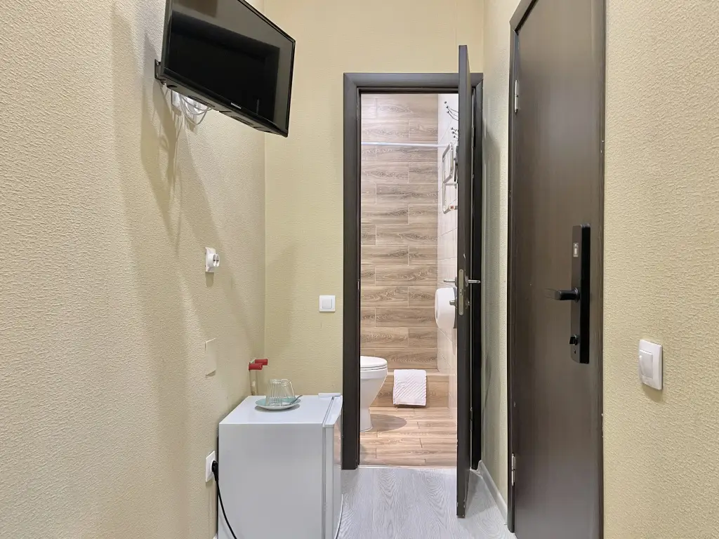 Воронеж: Апартаменты SyncotelHome Аничков Бридж 1