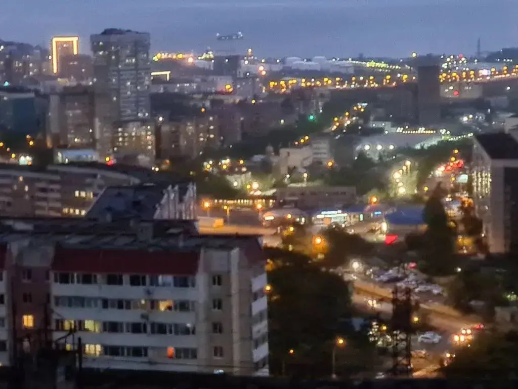 Владивосток: Апартаменты с красивым видом на море и золотой мост