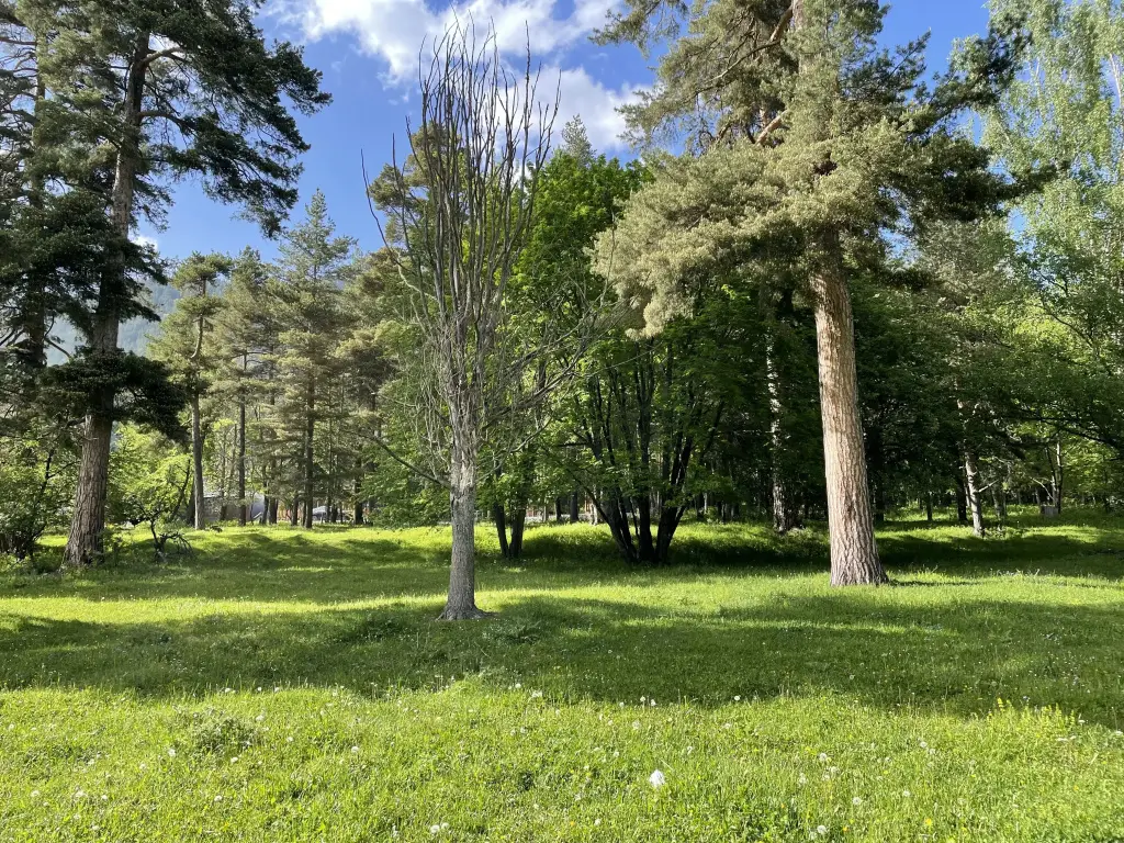 Архыз: Шале Paradise Forest 1