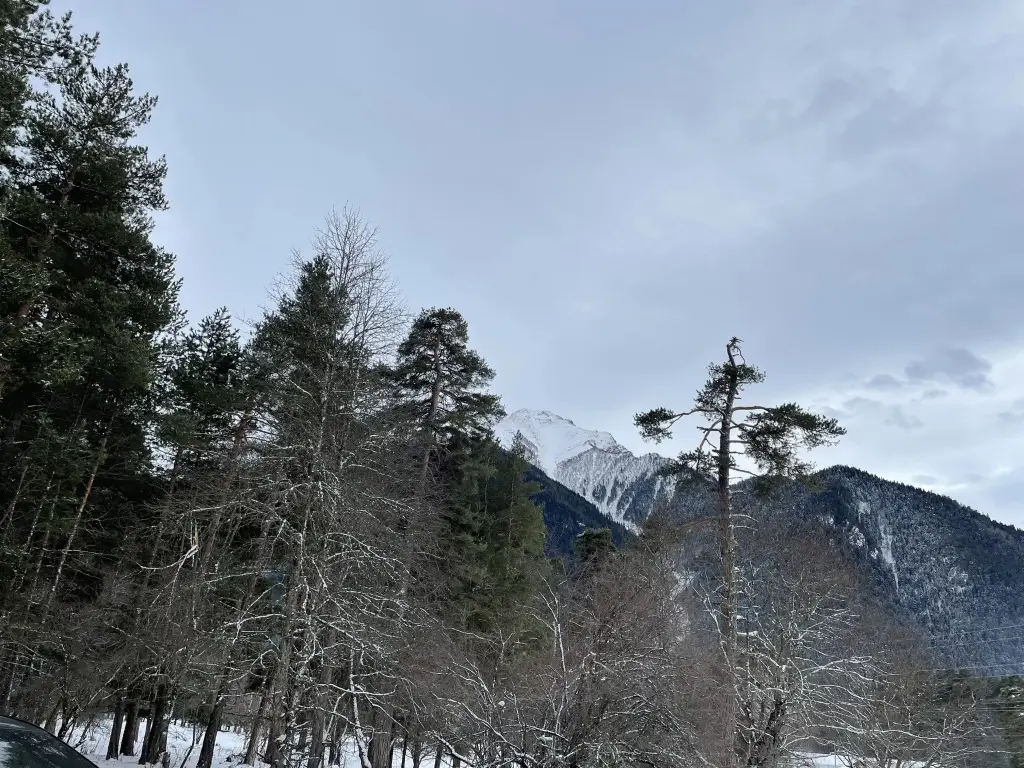 Архыз: Шале Paradise Forest 5
