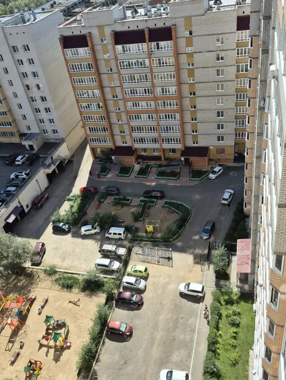 Чита: Каролина