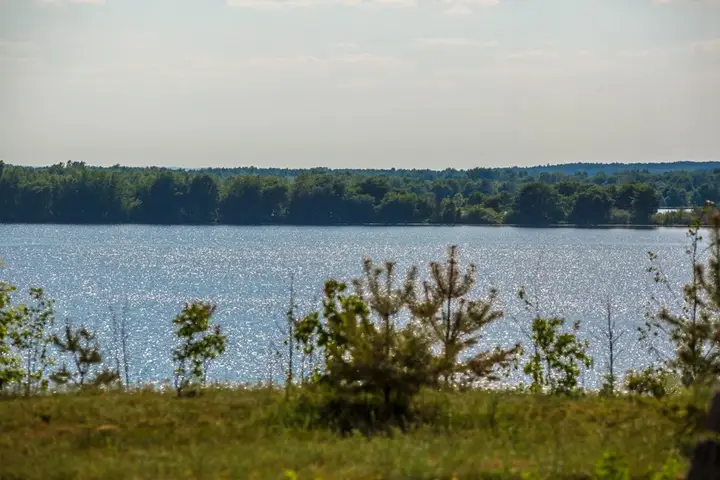 Разнежье: Volshebnaya Zavod' Guest house