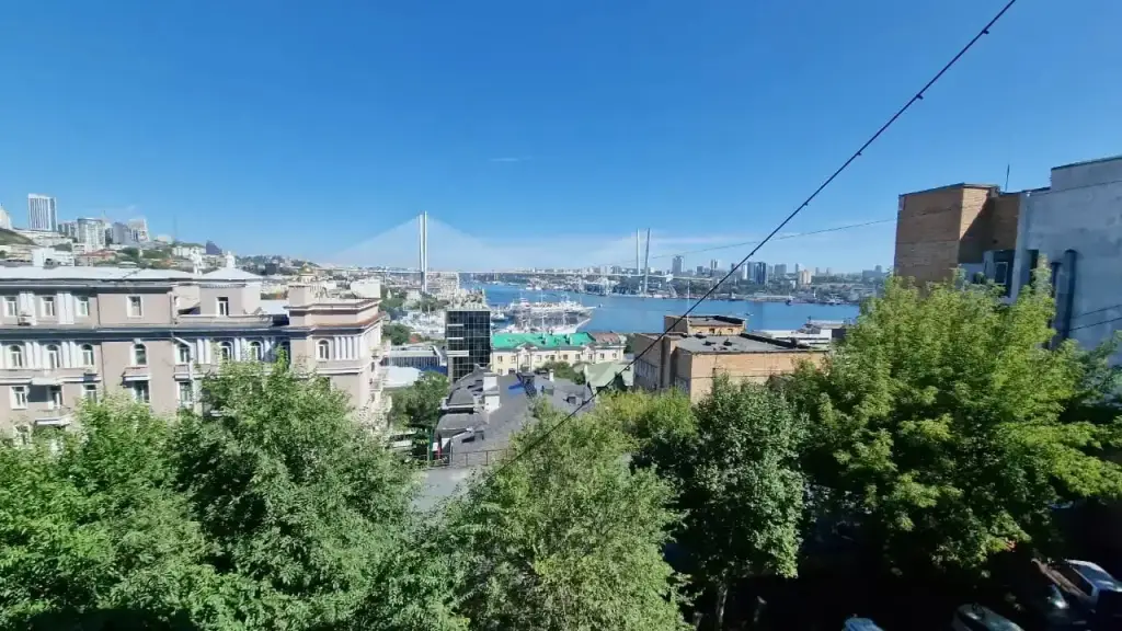 Квартира уютная с хорошим видом на Посьетской — фото 1