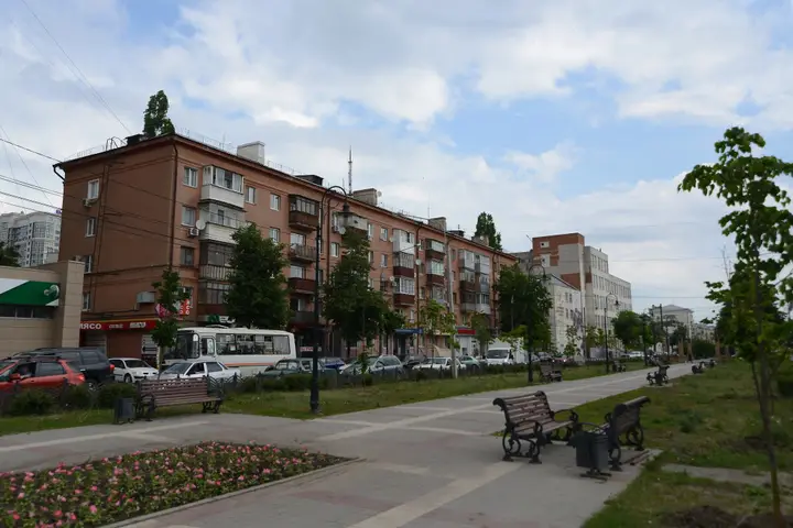 Воронеж: Квартира Уют и удобство в центре с хорошим ремонтом для посуточной аренды