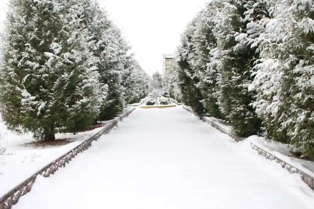 Волковское: Guest house Volkov-Sky