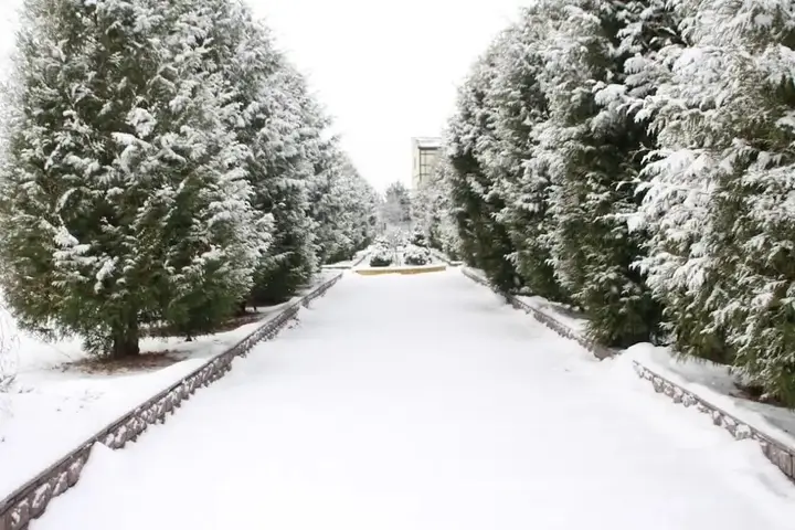 Волковское: Guest house Volkov-Sky