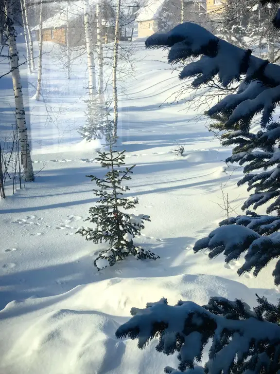 Шерегеш: Частный дом Невесомость