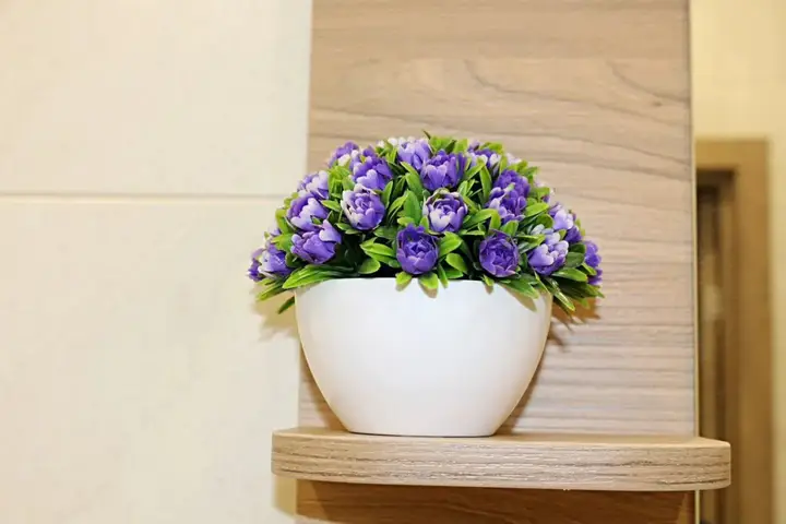 Петрозаводск: Квартира на проезде Алексея Афанасьева 1