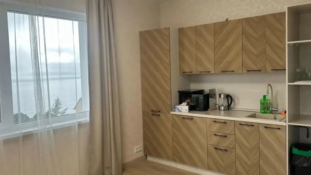 Петропавловск-Камчатский: Квартира на Ушакова 17 (3)