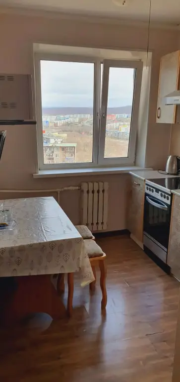 Петропавловск-Камчатский: Квартира 2-комнатная с видом на вулканы