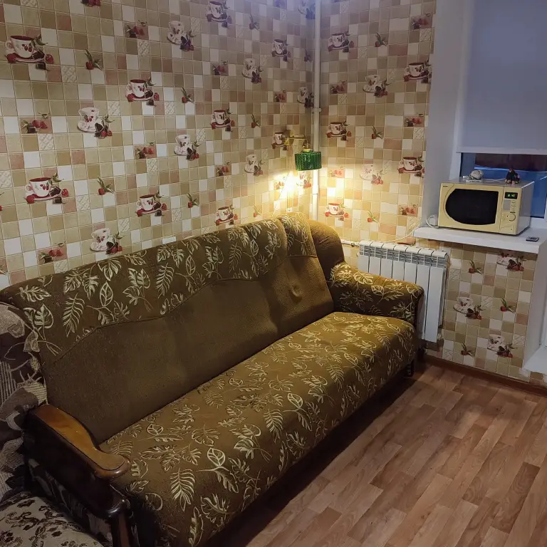 Брянск: Квартира однушка как трёшка