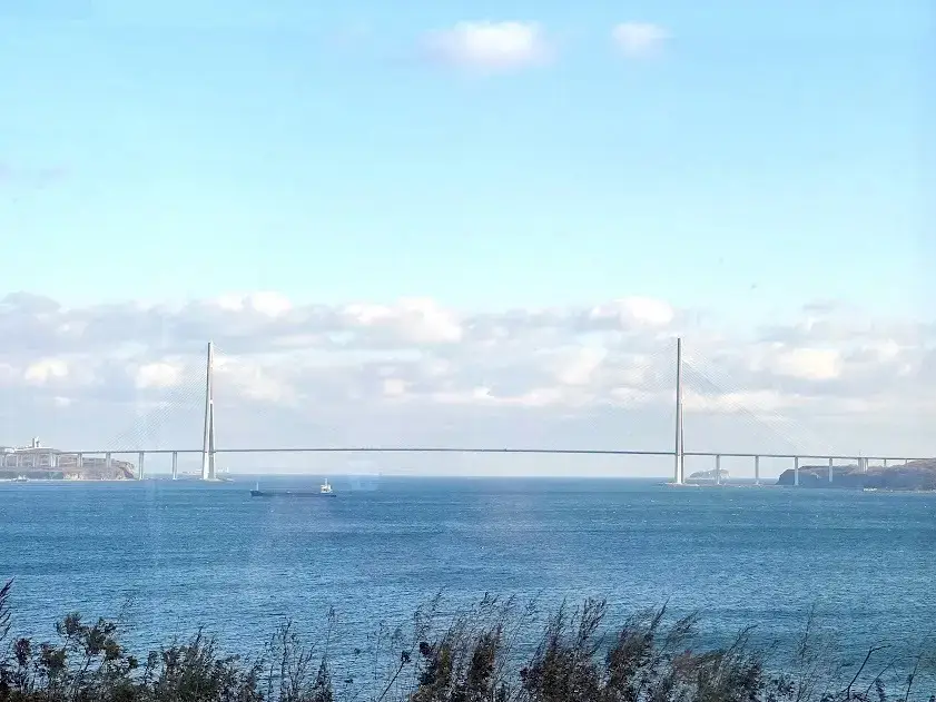 Владивосток: Квартира Уютная 2-Уровневая с Видом на Море и на Русский Мост