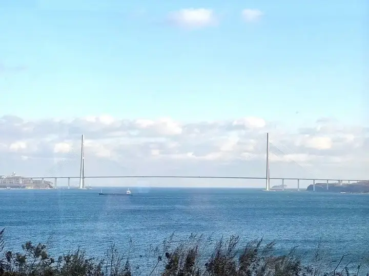 Владивосток: Квартира Уютная 2-Уровневая с Видом на Море и на Русский Мост
