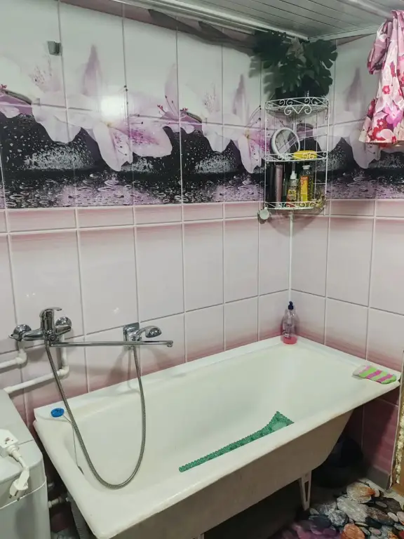 Петропавловск-Камчатский: Частный дом Бабушкин домик