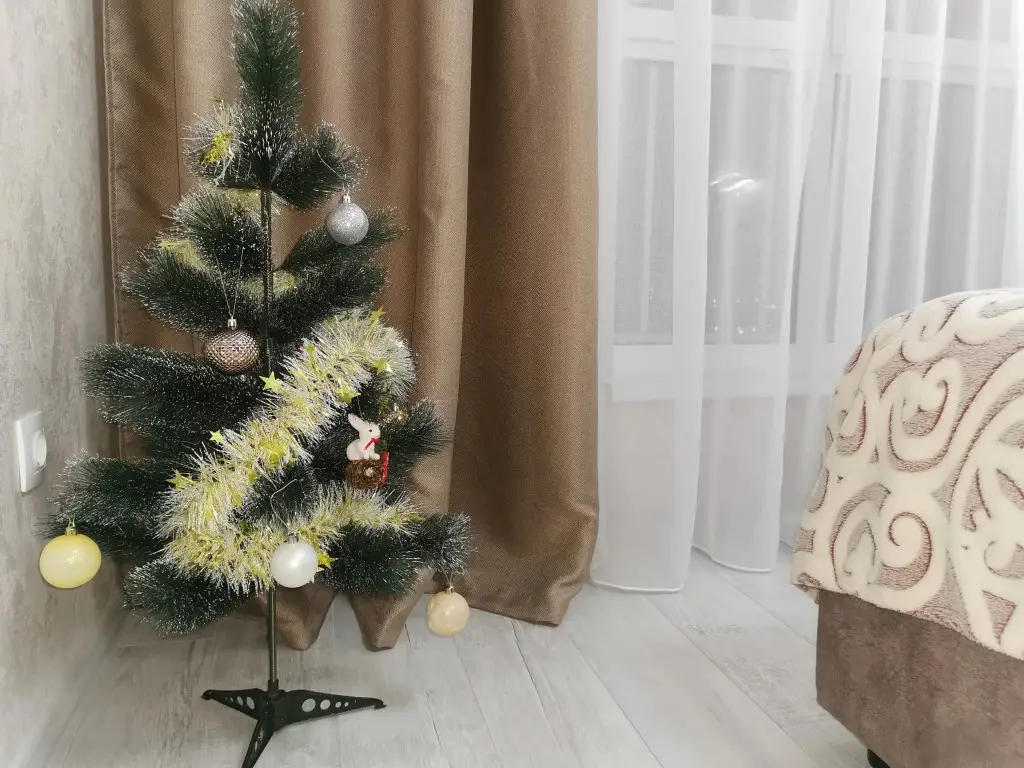 Псков: Квартира Видовая квартира комфорт классаа