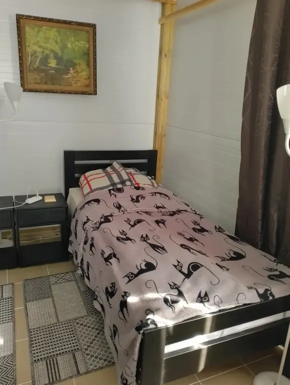 Новая Ладога: Частный дом в Креницах