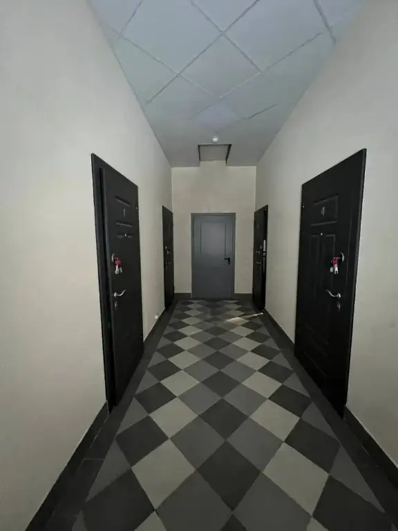 Щёлково: Квартира Уютная однокомнатная