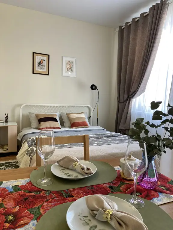 Петергоф: Квартира уютная и просторная студия в Петергофе
