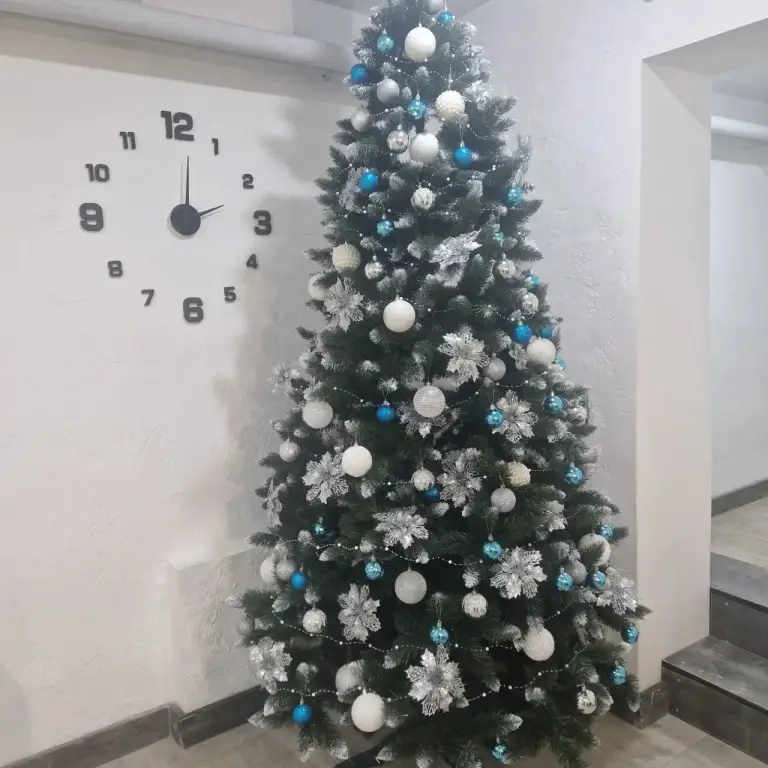 Котлас: Отель На проспекте