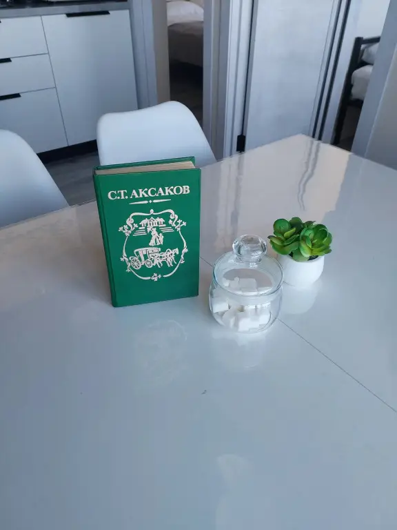 Уфа: Апартаменты Аксаковские