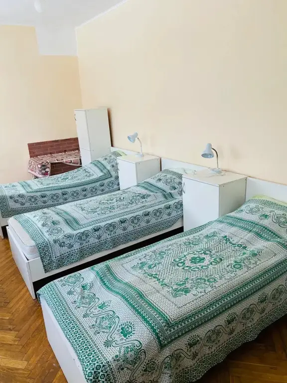 Светлый: Балтийский лес