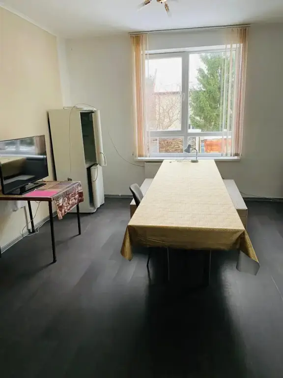 Светлый: Балтийский лес