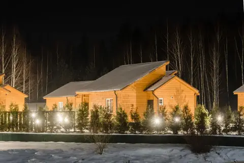 Золотые караси — фото 1